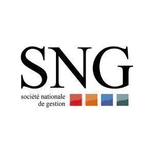 Avatar logo | SNG Immobilier | Aix-en-Provence France | visite virtuelle 360 3D VR