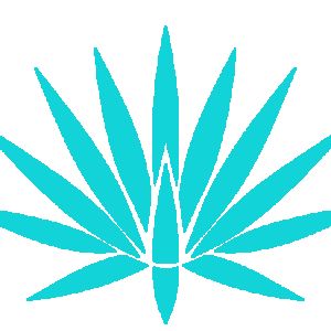 Avatar logo | Carine Dewavrin |
                                                         auray |
                                                          |
                                                         Photographe visite virtuelle 360° 3D