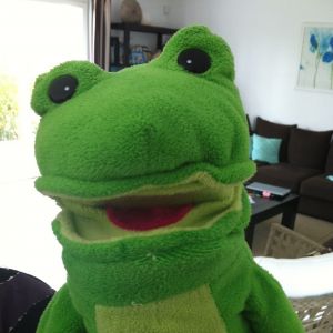 Avatar logo | Steph Ebmocal | Sète France | 360 3D VR tours