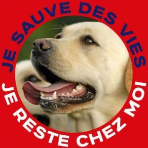 Avatar logo | Valentin Flouret |   | 360 3D VR tours