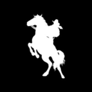 Avatar logo | Xavier Le Ber | Paris France | 360 3D VR tours