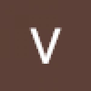 Avatar logo | Vegh Attila | Dunajská Streda Slovakia | 360 3D VR tours