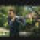 Avatar logo | Venkat Durga Rao |
                                                         Hyderabad |
                                                          |
                                                         360° 3D virtual tour photographer