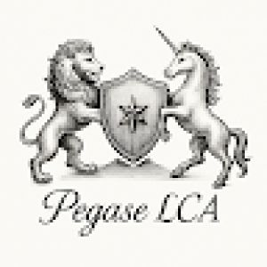 Avatar logo | Mehdi CHAIB-AINOU | Marseille France | visite virtuelle 360 3D VR